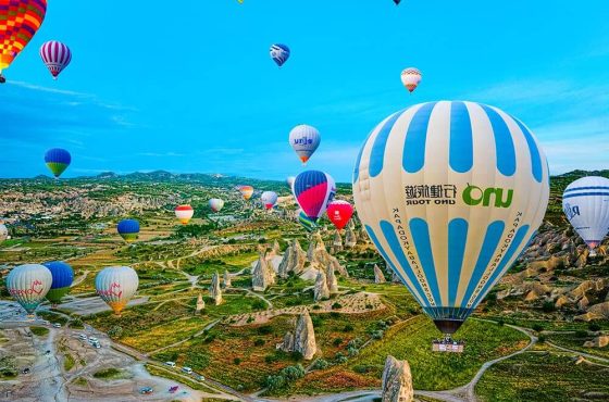 Brooklyn Christmas Lights Tour